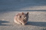 DSC_4680.jpg
