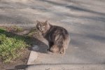 DSC_4693.jpg