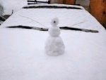 IMG_20210324_095547.jpg