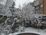 IMG_20210325_102818.jpg