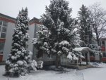 IMG_20210325_102900.jpg