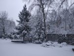 IMG_20210325_102938.jpg