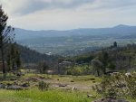 IMG_7894.jpeg