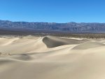 IMG_7338.jpeg