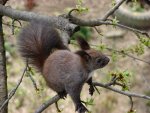 DSC00322k.JPG