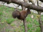 DSC00255.JPG