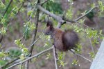 DSC04806s.JPG