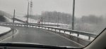 20210428_084125.jpg