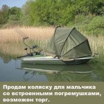 коляска.jpg