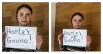 Харлей гавно.jpg