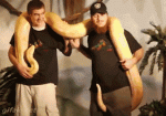 414d7fefee39a1585300d9e7188409c0.gif