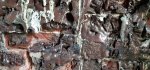 20210628_175309.jpg