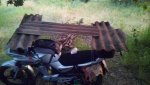 IMG_20210727_205920.jpg