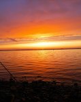 IMG_20210815_094459.jpg