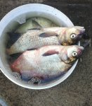 IMG_20210815_094619.jpg