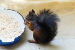 DSC09978.JPG