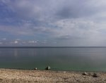 IMG_20210913_170953.jpg