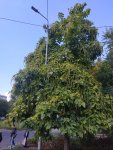 IMG_20210920_181013.jpg