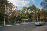 DSC_5722.jpg