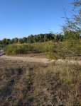 IMG_20211002_185714.jpg