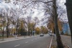 DSC_6054.jpg