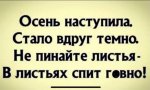 16044821.jpg