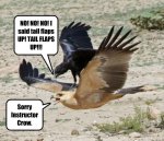 riding-the-bird-and-text-around-the-image-to-imply-that-this-is-a-bird-teaching-another-how-t...jpeg