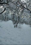 IMG_20211227_075948.jpg