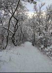 IMG_20211227_080011.jpg