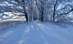 IMG_20211227_080352.jpg
