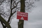 DSC_6384.jpg