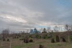 DSC_6420.jpg