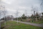 DSC_6447.jpg