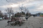 DSC_6457.jpg