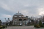 DSC_6470.jpg
