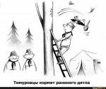 Дятел.jpg
