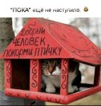 Птичка.jpg