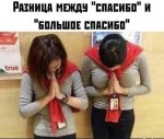 16203352.jpg