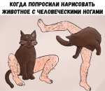 Ного котик_cr.jpg