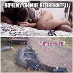 tumblr_a594ffc6a3f0baa3b6a6d12eacc509aa_35754cbb_540.jpg