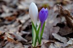 DSC04493.JPG