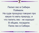 20220402_124819.jpg