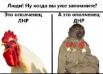 D07D4785-6B91-4684-BA87-DDC53C052363.jpeg