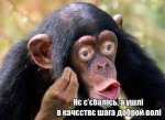0FA5ABF3-36A2-4FAE-ADA4-63EB4BF80E94.jpeg