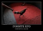 E4CBDB87-37BD-4A1C-A6D2-AC15AD33A285.jpeg