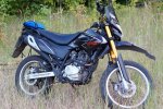 DSC06804.JPG
