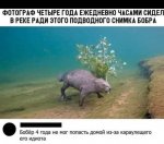 8B1ACEB8-6721-4382-BF45-7D1CF98A8183.jpeg