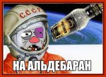 368E51C4-3DDD-4D92-822A-C5F2547E8C8C.jpeg