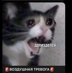 7E1B1C45-386A-4AD1-A76B-BF324A7E9BC8.jpeg