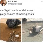 FC6325E4-B604-4D6E-AD0D-112D4FE0B9E7.jpeg